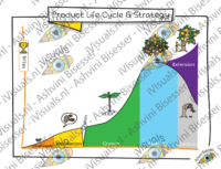 Product Life Cycle
